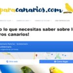 paracanarios