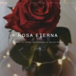 rosaeterna