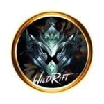Wildriftboost